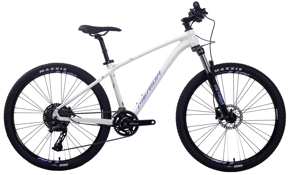 维多利亚ML800 25‘