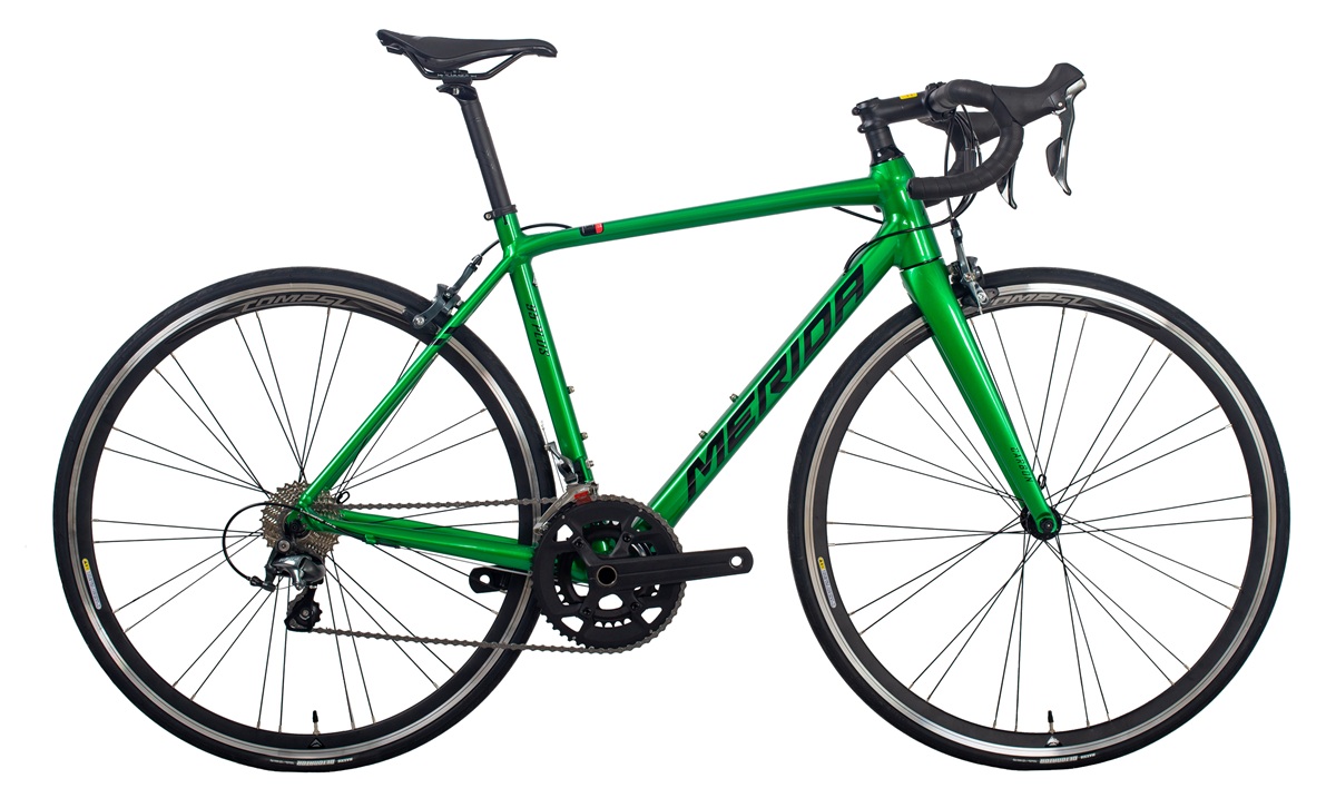 SCULTURA 95 PLUS 25‘